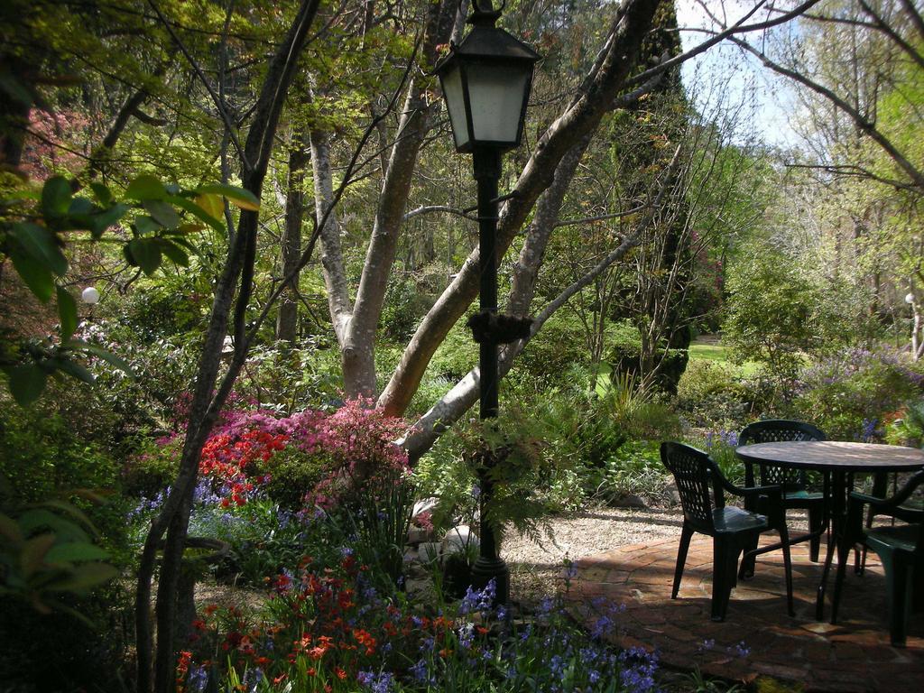 Merrimeet Cottages Брайт Номер фото